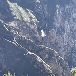 Photo taken by Alpa M