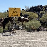 Photo taken by Mary E