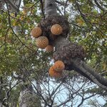 Photo taken by Donna R