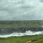 Photo taken by Tina D