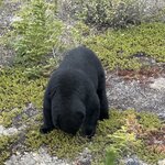 Photo taken by Lani A