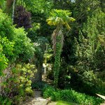 Photo taken by Mike T