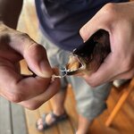 Photo taken by Eric F