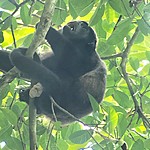 Photo taken by Michelle D