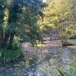 Photo taken by Barbara H