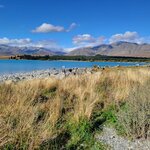 Photo taken by Don P