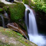 Photo taken by Peter M