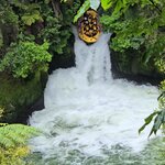 Photo taken by Rand M