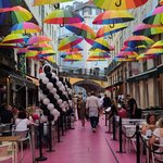 Photo taken by Laura R