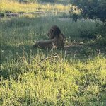 Photo taken by Crystall P