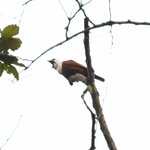 Photo taken by Graeme W