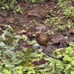 Photo taken by Ben B