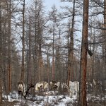 Photo taken by Joseph K