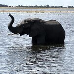 Photo taken by rhonda c