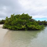 Photo taken by Natascia V