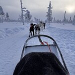 Photo taken by Raylene C