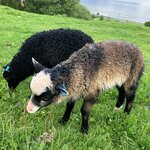 Photo taken by Eleanor S