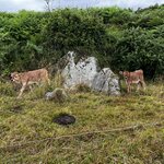 Photo taken by Liz S