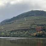 Photo taken by David W