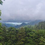 Photo taken by Emelyn J