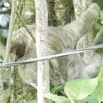 Photo taken by Joyce C