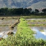 View from our sunset bar | Photo taken by Gregory R