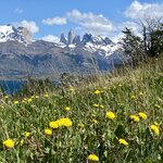 Photo taken by Carmen P