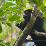 Photo taken by Darcy M