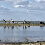 Photo taken by rhonda c