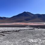 Photo taken by Shirley S