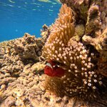 Photo taken by Jessica M