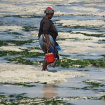 Photo taken by Kristin M