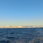 Photo taken by Arundhati G