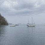 Photo taken by Sharon N