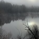 Photo taken by Pratima S