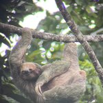 Photo taken by Ora Y