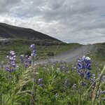 Photo taken by PETER S