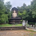 Photo taken by Tanya G