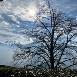 Photo taken by Aparna S