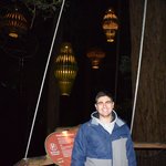 Red Woods Tree Walk | Photo taken by JESSICA T