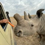 Photo taken by Julien C