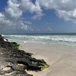 Photo taken by Imogen E