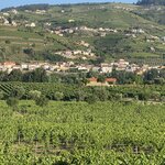 Photo taken by Daniel C