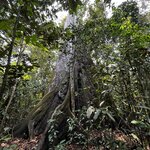 Photo taken by Kelly K