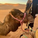 Photo taken by Mary Kate C