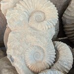 Photo taken by John P