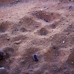 Photo taken by Dennis H