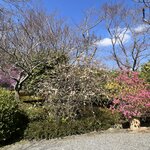 Photo taken by Kirti P