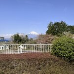 Photo taken by Reynaldo M