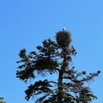 Photo taken by Jenny B